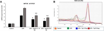 Cytotoxic activity of bimetallic Ag@Se green synthesized nanoparticles using Jerusalem Thorn (Parkinsonia aculeata)